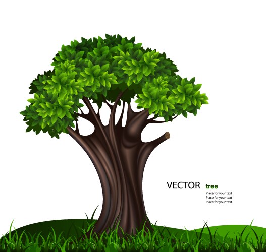 Oak tree Royalty Free Vector Image - VectorStock