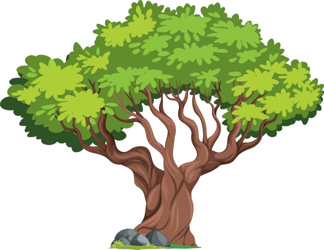 Isolated tree on white background Royalty Free Vector Image