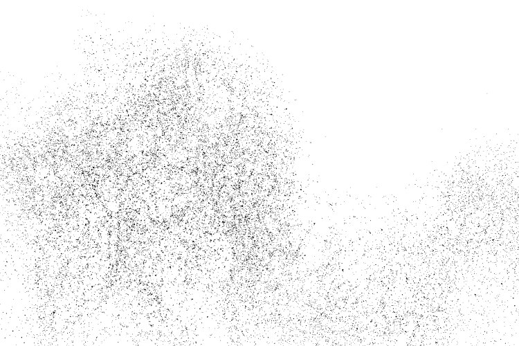 black grainy texture isolated on white vector image