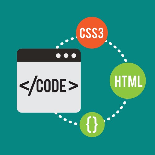 Program coding website vector image