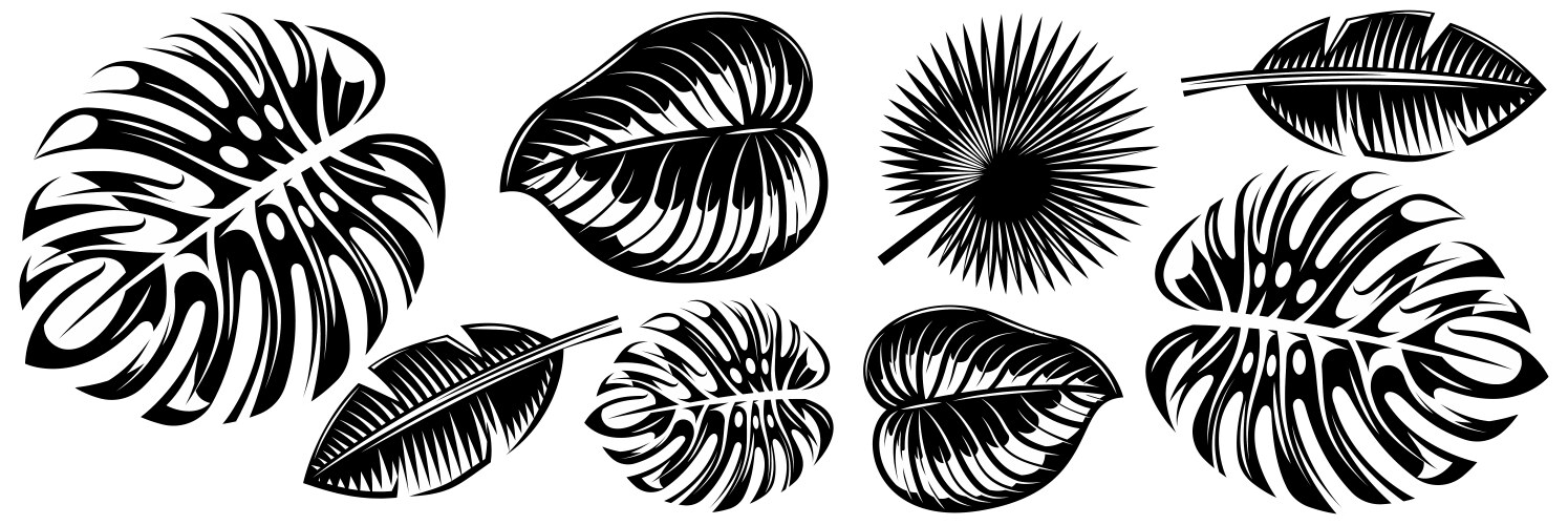 Tropical palm leaves set Royalty Free Vector Image