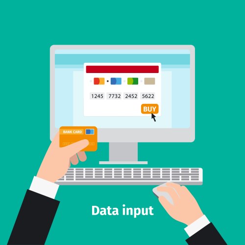 Credit plastic card usage data input vector image