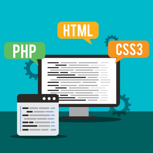Program coding website vector image