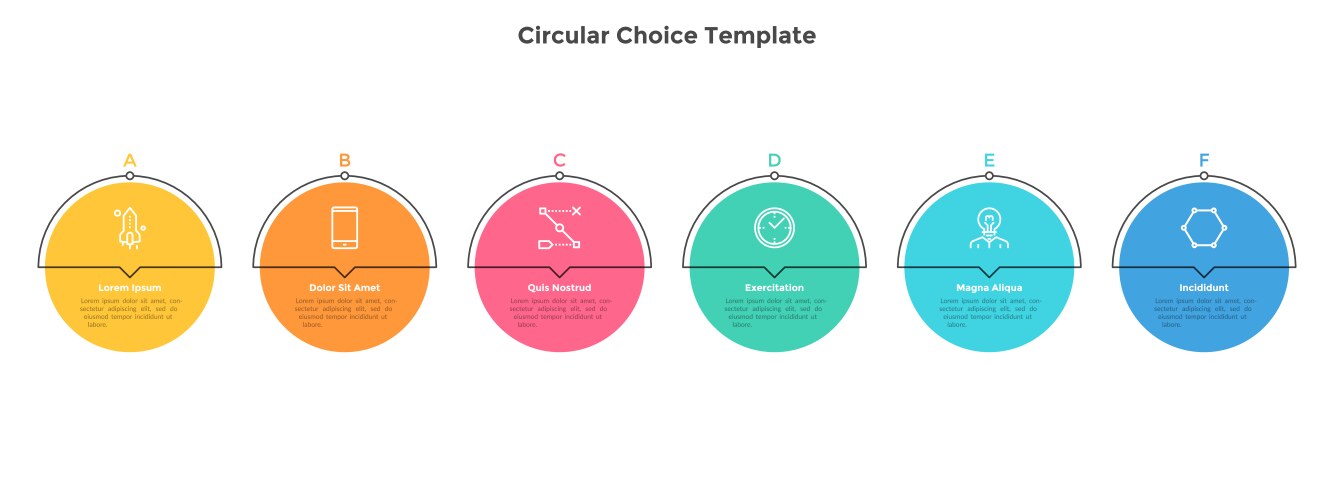 modern infographic options banner vector image