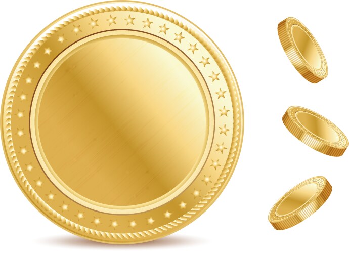 empty surface of the golden finance isolated coin vector image