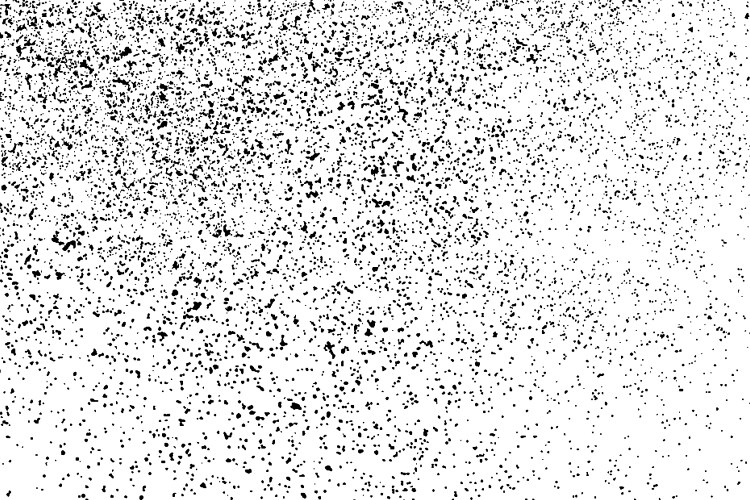 black grainy texture isolated on white vector image