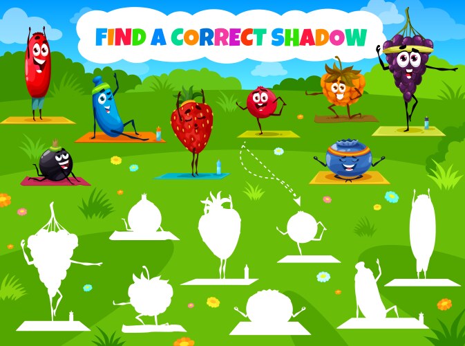 find a correct shadow game with berry characters vector image