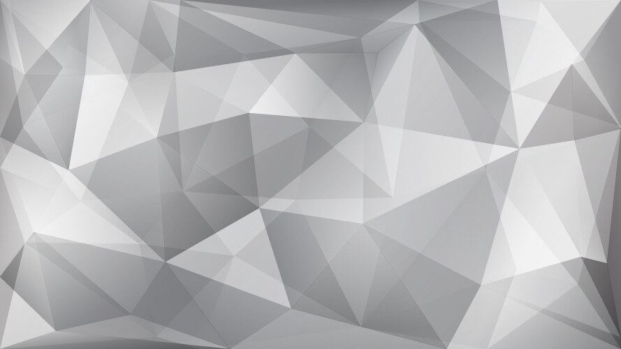 Background abstract polygon black and white Vector Image
