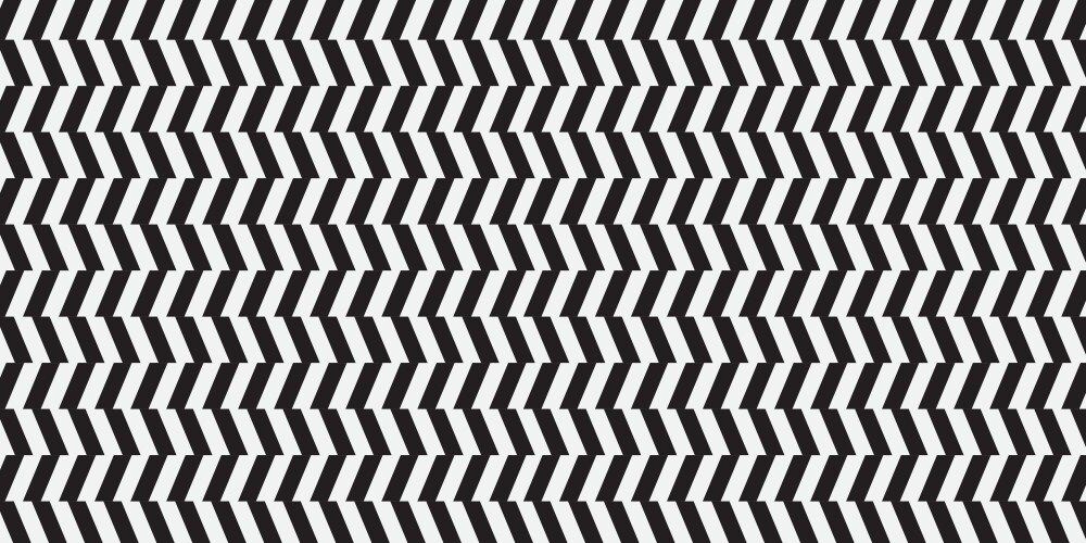 Abstract zig zag pattern in black and white vector image