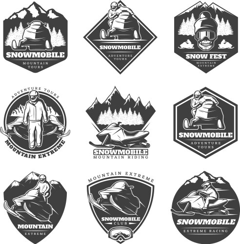 Winter Sports & Extreme Labels Vector Image