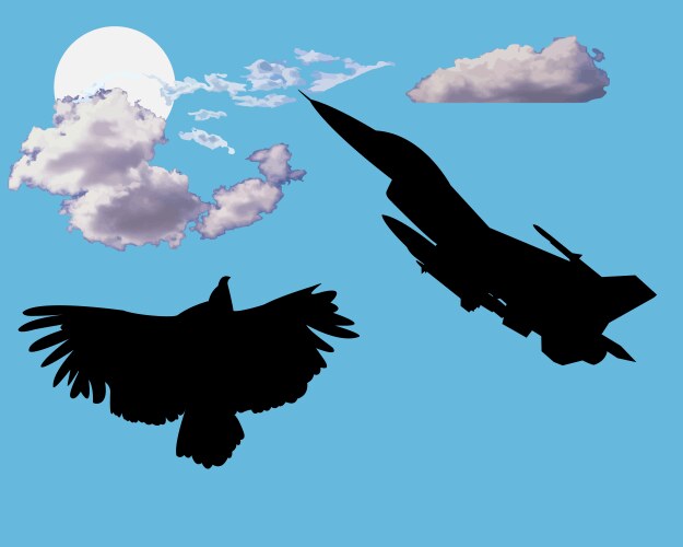 Aircraft and bird eagle Vector Image