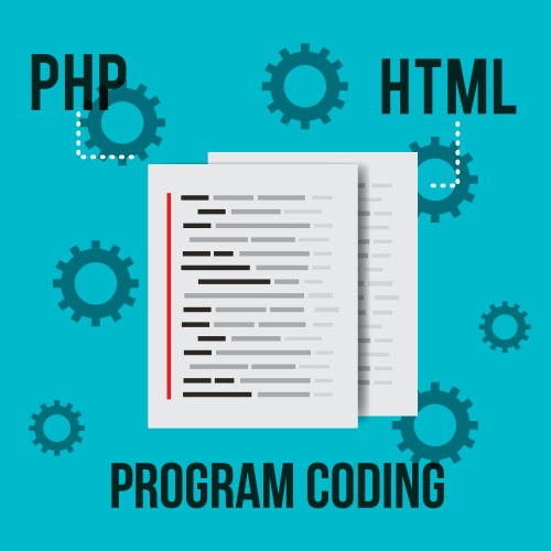 Program coding website vector image