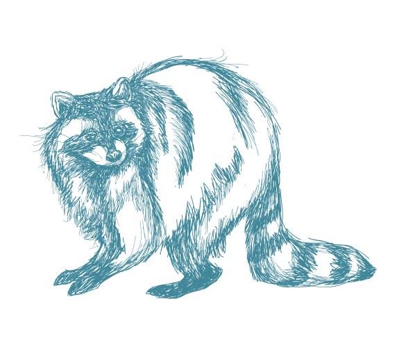 Raccoon sketch blue vintage Vector Image