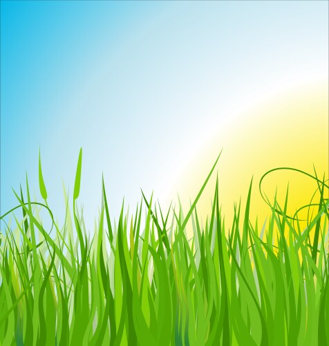 Grass glare and effect bokeh Royalty Free Vector Image