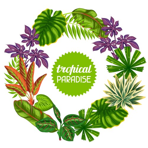 Frame with tropical plants and leaves image Vector Image