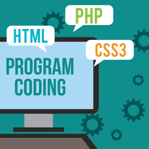 Program coding website vector image