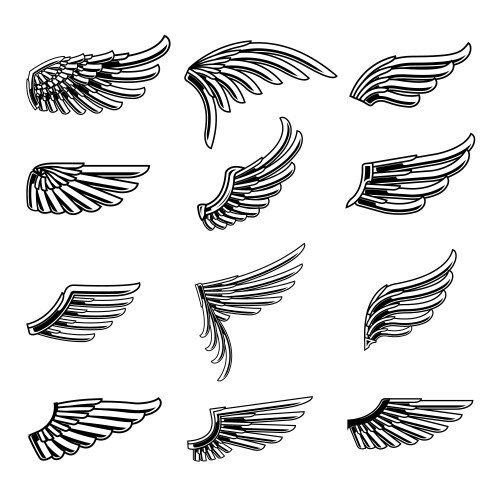 Vintage Wing Icon Set Vector Image