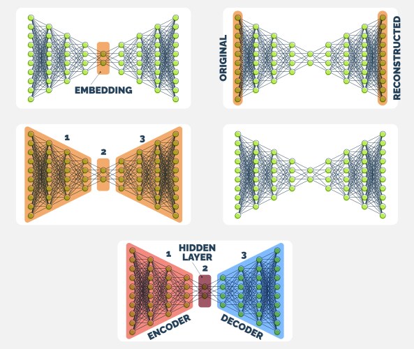 Comprehensive autoencoder neural network guide vektorbild