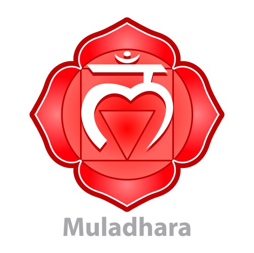 chakra muladhara isolated on white vector