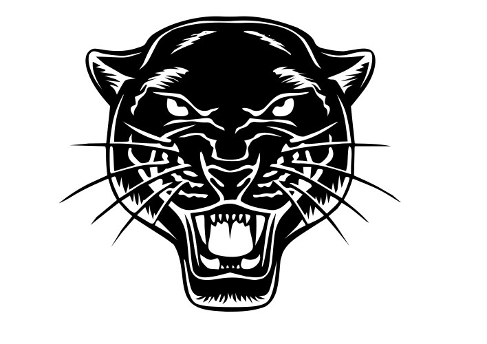 An angry panther head on black background wild Vector Image