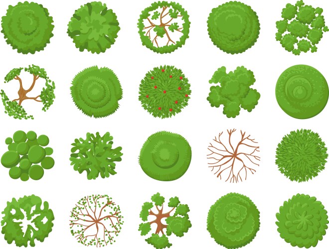 Architecture tree plan Vector Images & Graphics for Commercial Use ...