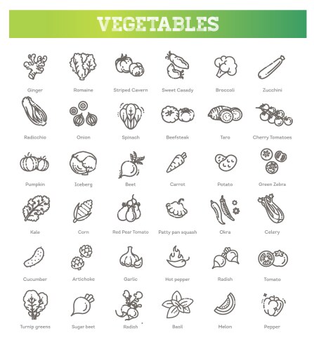 Fruits and vegetables thin line web icons set Vector Image