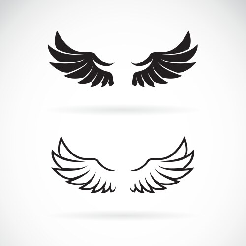 Wing Vector Images (over 440,000)