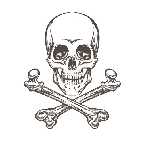 Skull and crossed bones engraving Royalty Free Vector Image
