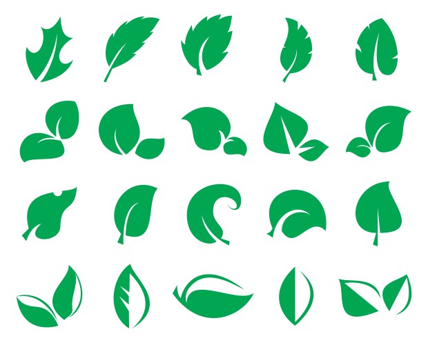 green leaf icons isolated on a white background vector