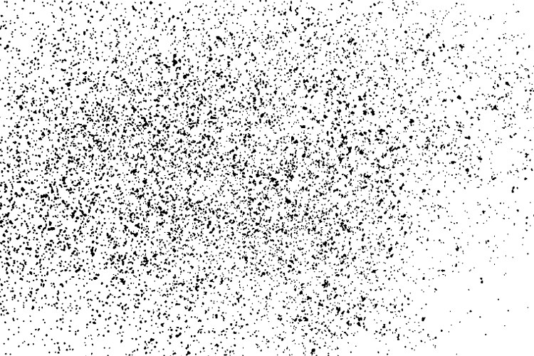 black grainy texture isolated on white vector image