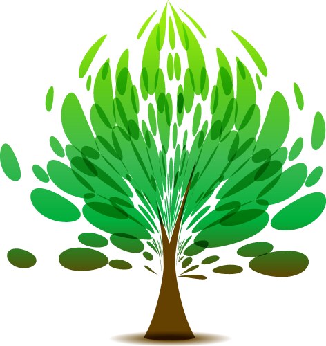 Maple tree on white Royalty Free Vector Image - VectorStock
