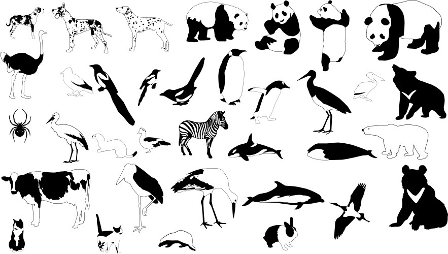 black and white animals vector image