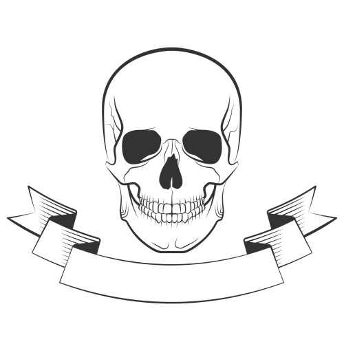 Skull Royalty Free Vector Image Vectorstock Skull Royalty Free Vector Image Vectorstock