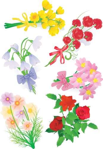 Floral Bouquet Collection Vector Image