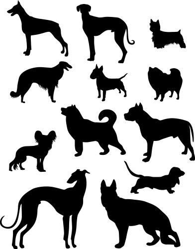 Dog Silhouettes Collection Vector Image