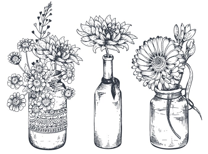 Hand Drawn Floral Compositions Vector Image