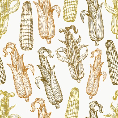 Seamless pattern corn vegetables ornament Vector Image