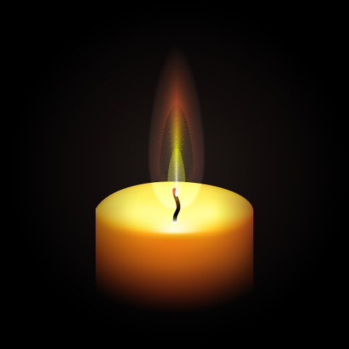 Realistic paraffin burning candle vector image