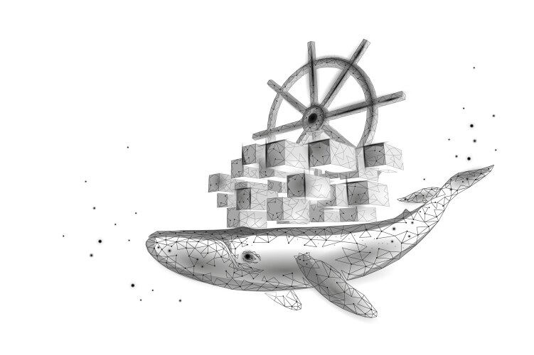 Whale and container computer docker developer app vector image