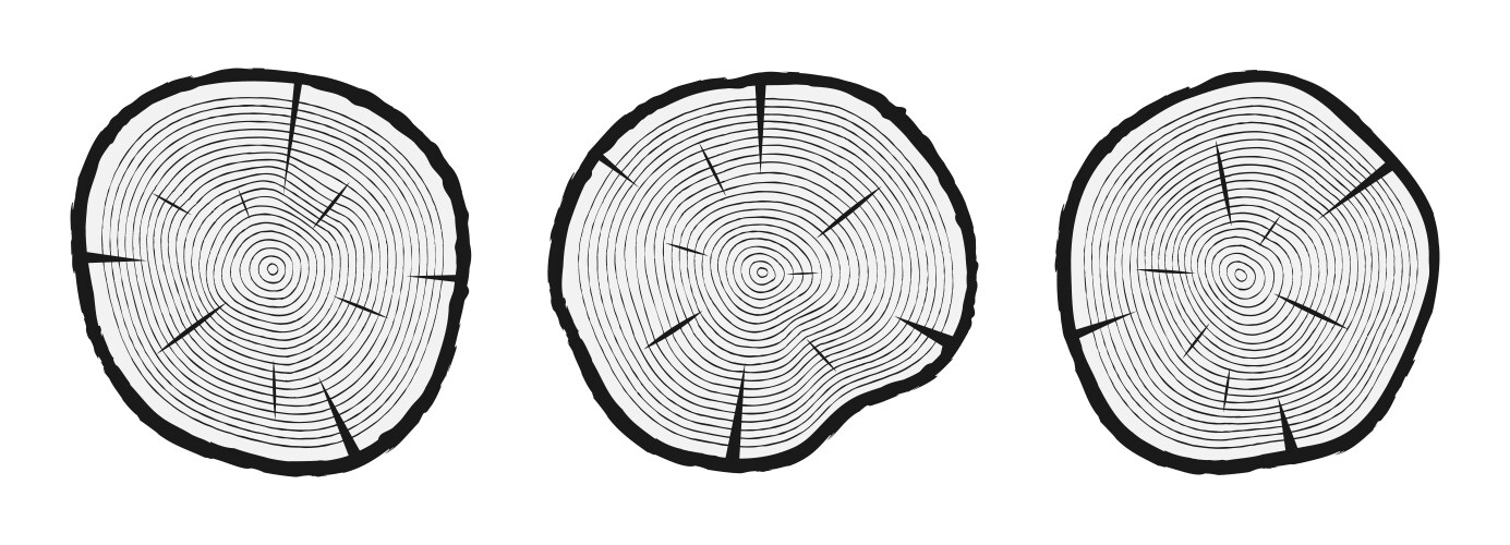 Tree trunk cuts with rings vector image