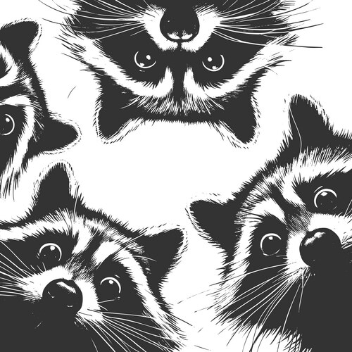 Three Curious Raccoons Vector Image