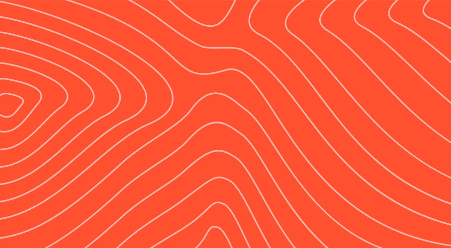 Salmon or trout fish meat texture wallpaper Vector Image