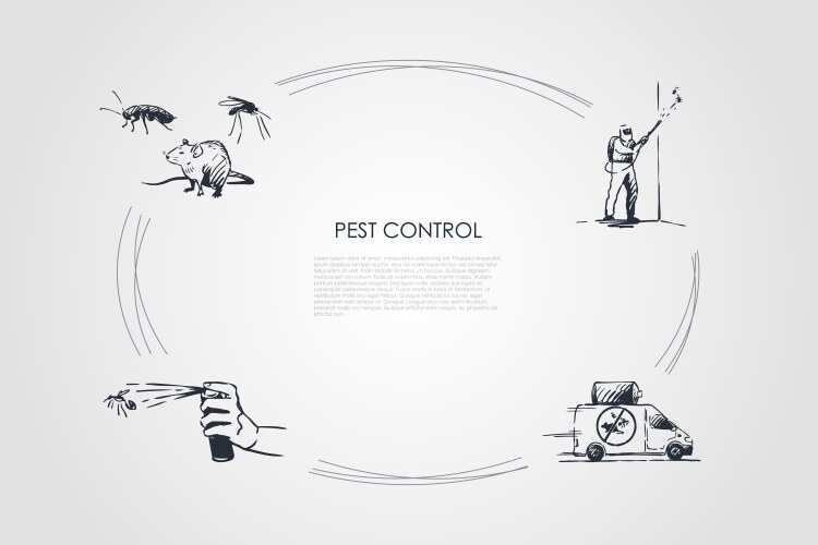 Surveillance command control and communications Vector Image