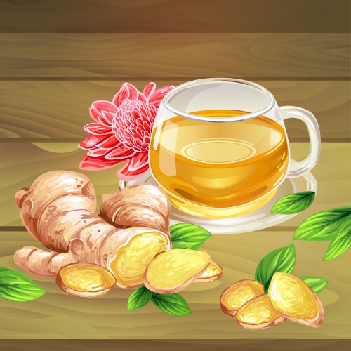 Ginger Tea with Root and Leaves Vector Image
