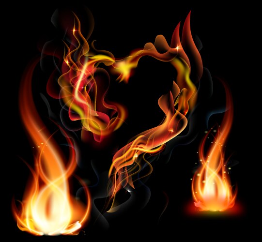 fire flame on black background vector image vector image