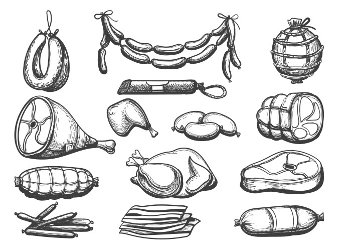 Meat Drawing Vector Images (over 50,000)