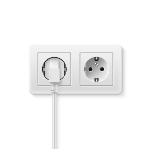 socket empty and with plug realistic vector