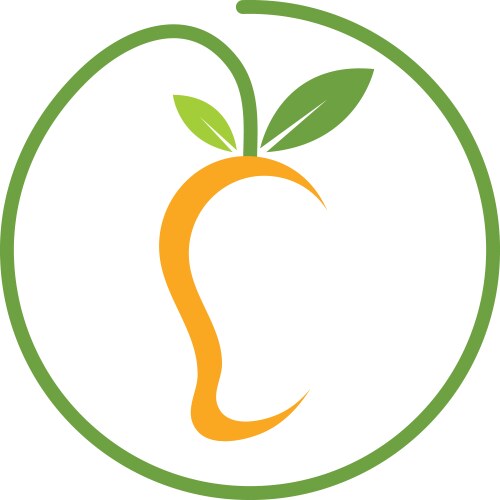 Orange fruit icon logo Royalty Free Vector Image