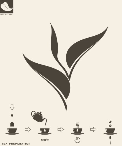 Making Tea Vector Tea preparation for use in packaging Royalty Free Vector