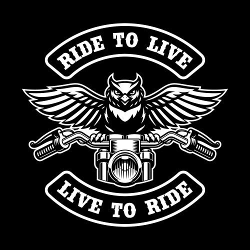 Owl on a motorcycle steering wheel Vector Image